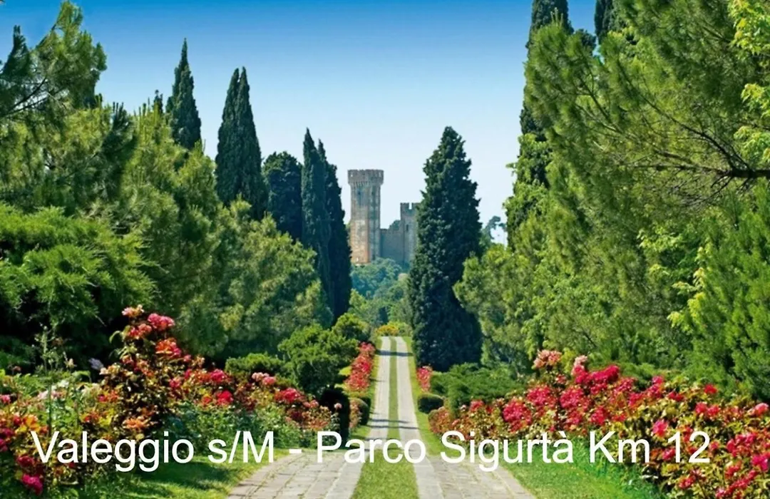 Appartamento Il Vicolo-1