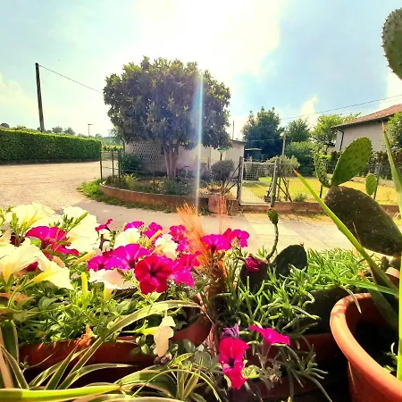 Zanina Country House-3